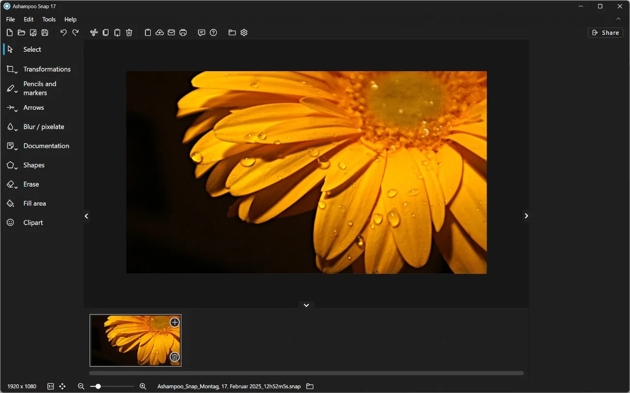 Ashampoo Snap 17 – logiciel de capture d’écran et d’édition vidéo complet pour Windows 10 et 11
