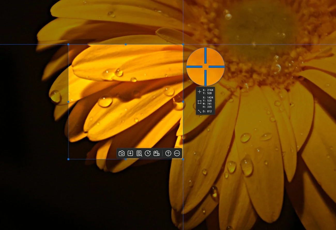 Ashampoo Snap 17 – logiciel de capture d’écran et d’édition vidéo complet pour Windows 10 et 11